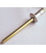 4.8 x 16mm. Stainless Steel Blind Rivets(POP Rivets)  (100/pack) - Click to Zoom