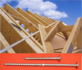 8.0x300 FlangeHd Wood Construction Screws(T40) (10/pack)