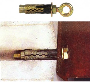 GM12E (Eye) Wallbolts-Fischer (1/pack)