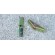 M8 Wings Only Spring Toggles (10/pack)