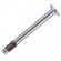 FNA 6 x 30/100 Nail Anchor with Nail Head (10/pack)